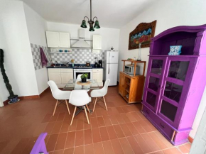 Condesa-Roma Norte Charming Mexican Style Apartment